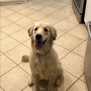 Meet your Posher, Daryl